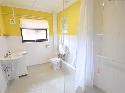 Picture 7